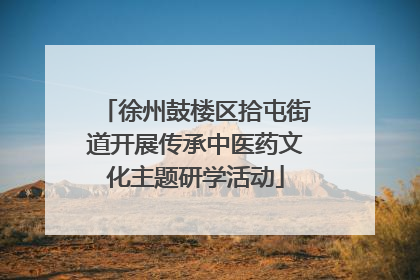 徐州鼓楼区拾屯街道开展传承中医药文化主题研学活动